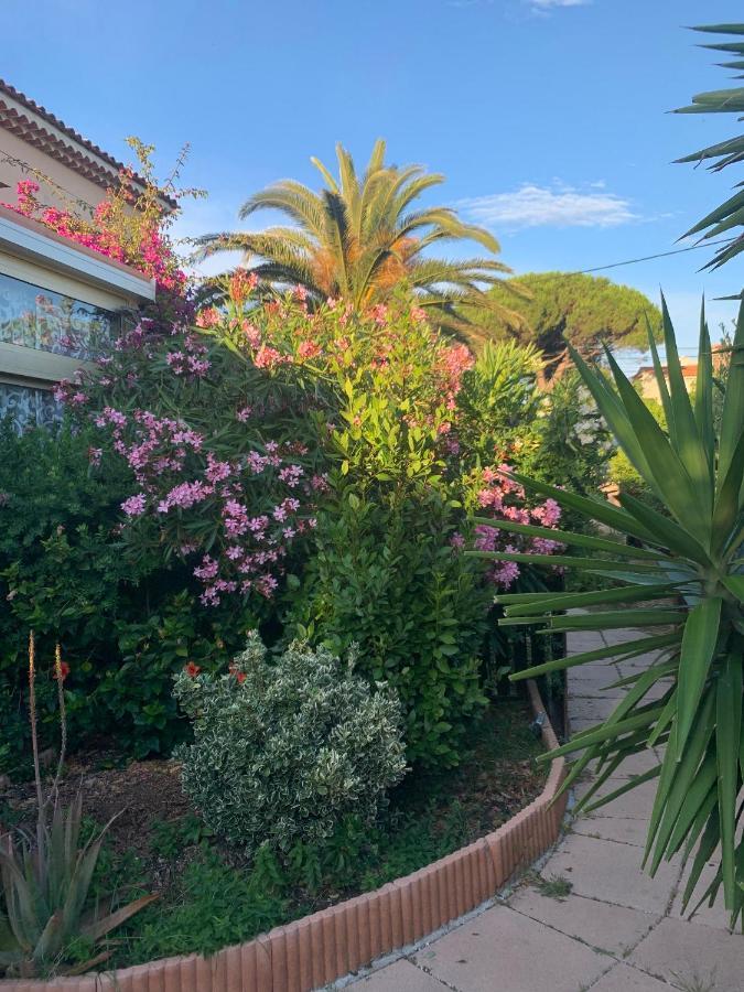 Rose De Sel Apartment Hyères Екстериор снимка